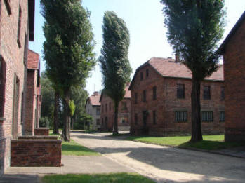 Auschwitz Barracks