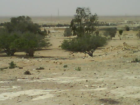 El Alamein battlefield