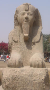 Memphis Sphinx