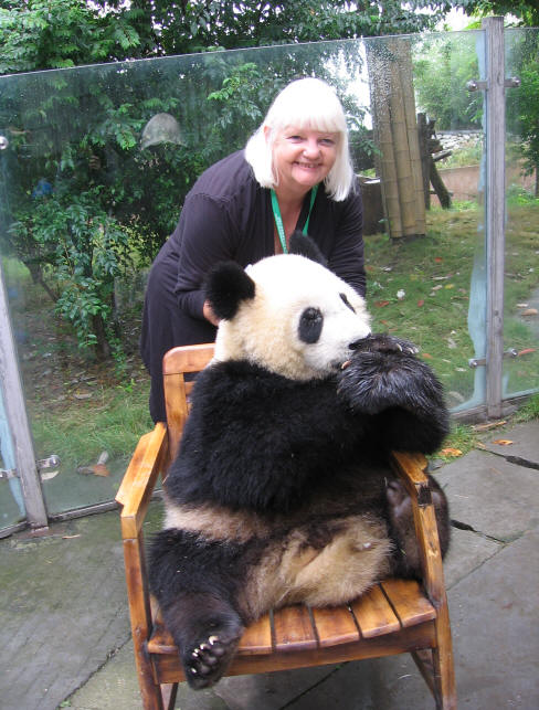 Chengdu Pandas