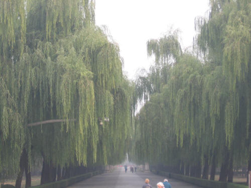 Sacred Path