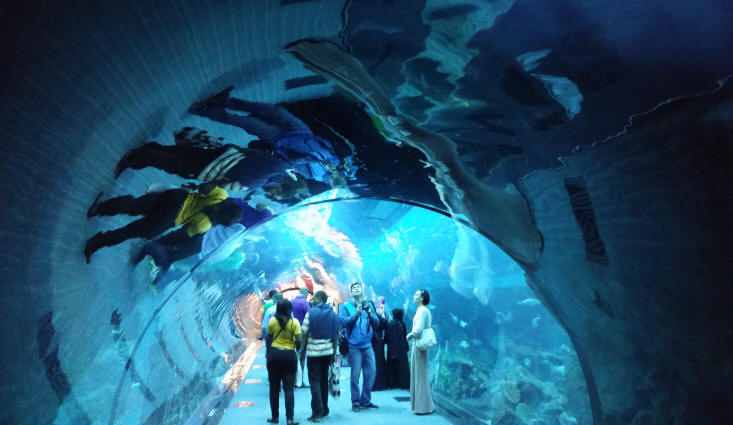 Dubai Mall Aquarium