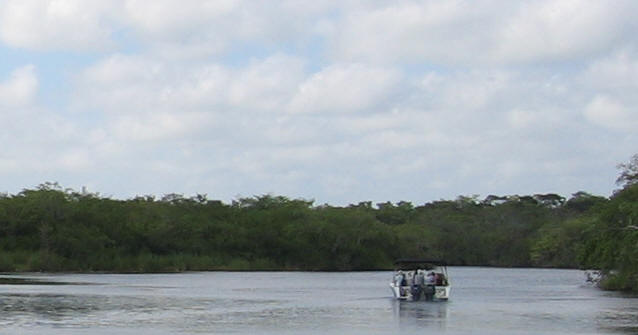 Lamanai River