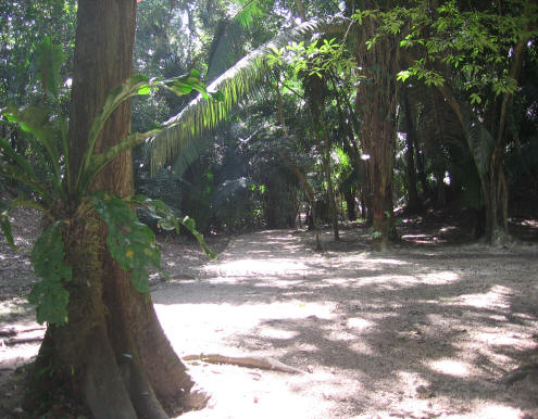 Lamanai Temples Path