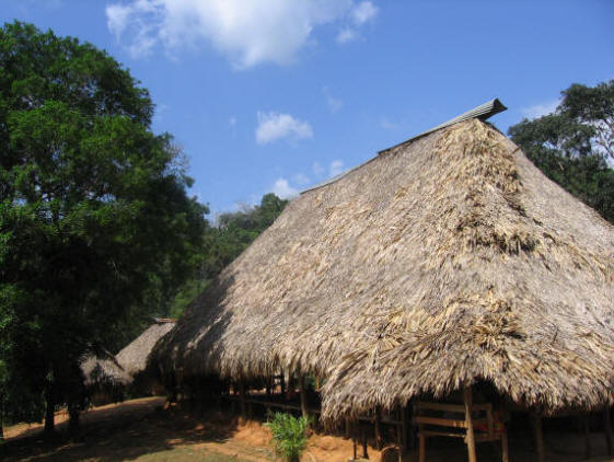 Main Hut
