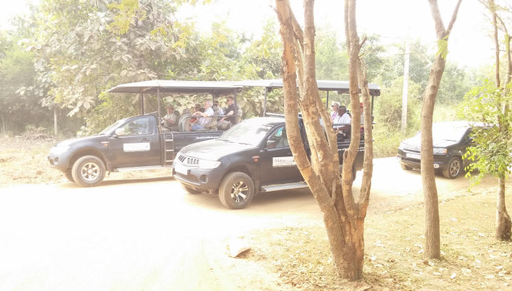 Safari Jeeps Udawalawe Park