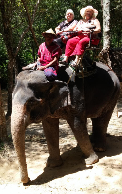 Elephant ride in Thailand